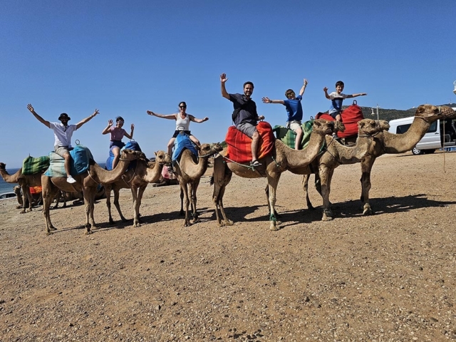 Tours y Experiencias en España - Andalusia Guided Tours