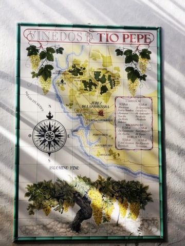 Tours y Experiencias en España - Andalusia Guided Tours