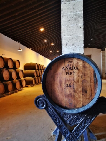 Tours y Experiencias en España - Andalusia Guided Tours