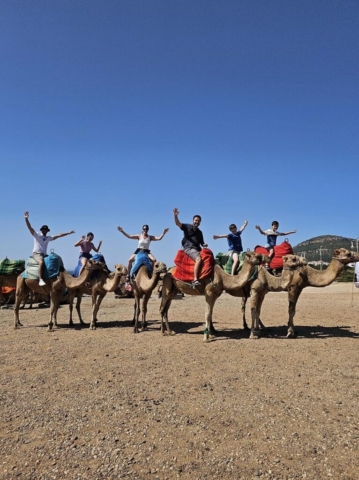 Tours y Experiencias en España - Andalusia Guided Tours