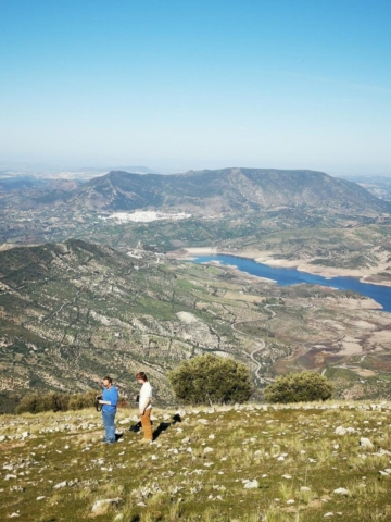 Tours y Experiencias en España - Andalusia Guided Tours