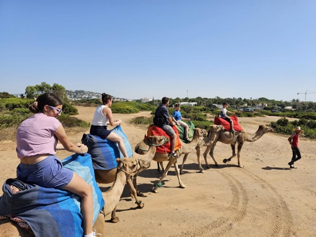 Tours y Experiencias en España - Andalusia Guided Tours