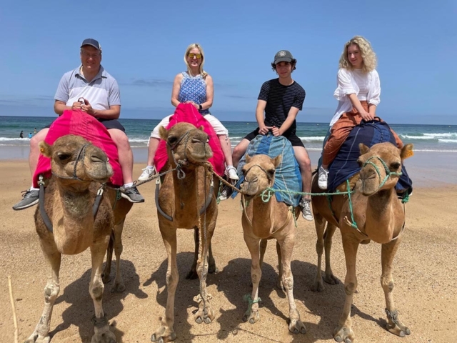 Tours y Experiencias en España - Andalusia Guided Tours