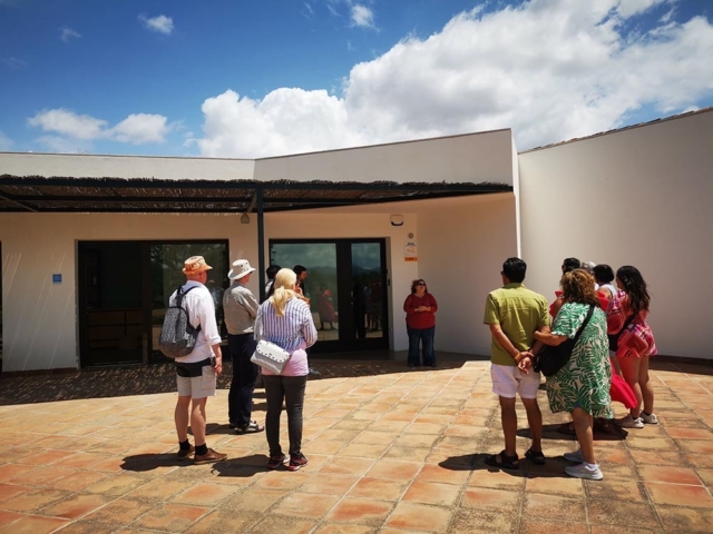 Tours y Experiencias en España - Andalusia Guided Tours