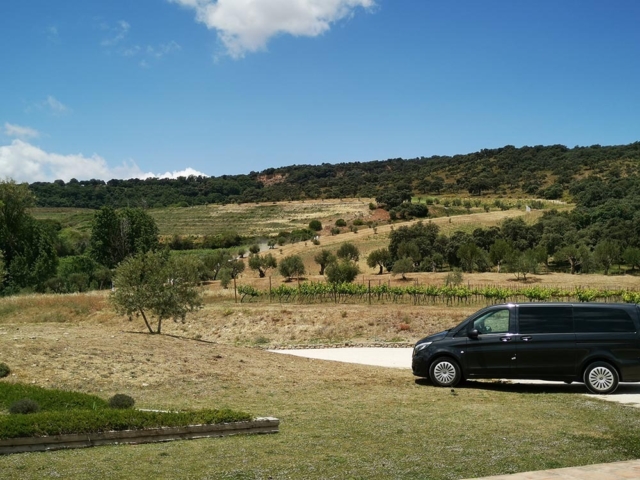 Tours y Experiencias en España - Andalusia Guided Tours