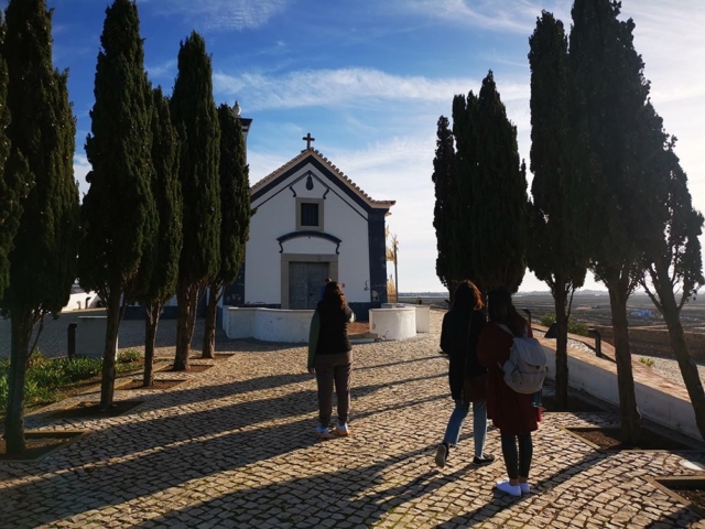 Tours y Experiencias en España - Andalusia Guided Tours