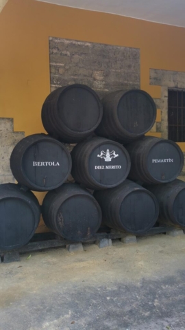 Tours y Experiencias en España - Andalusia Guided Tours