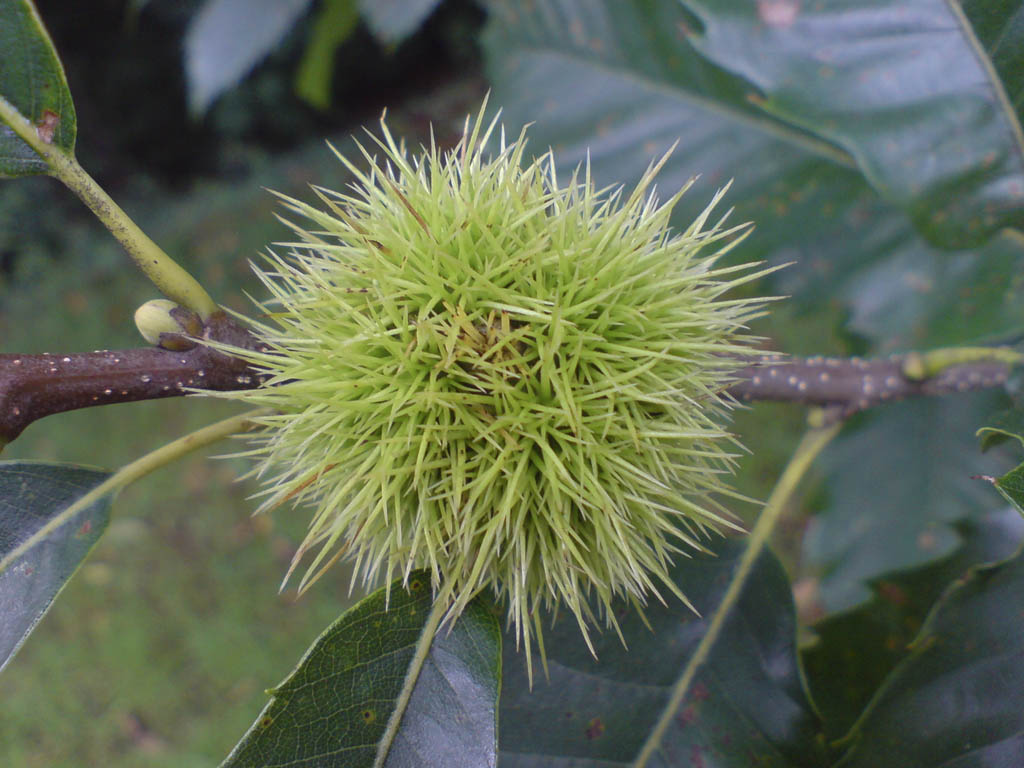 Tours en Aracena Andalusia Guided Tours 11