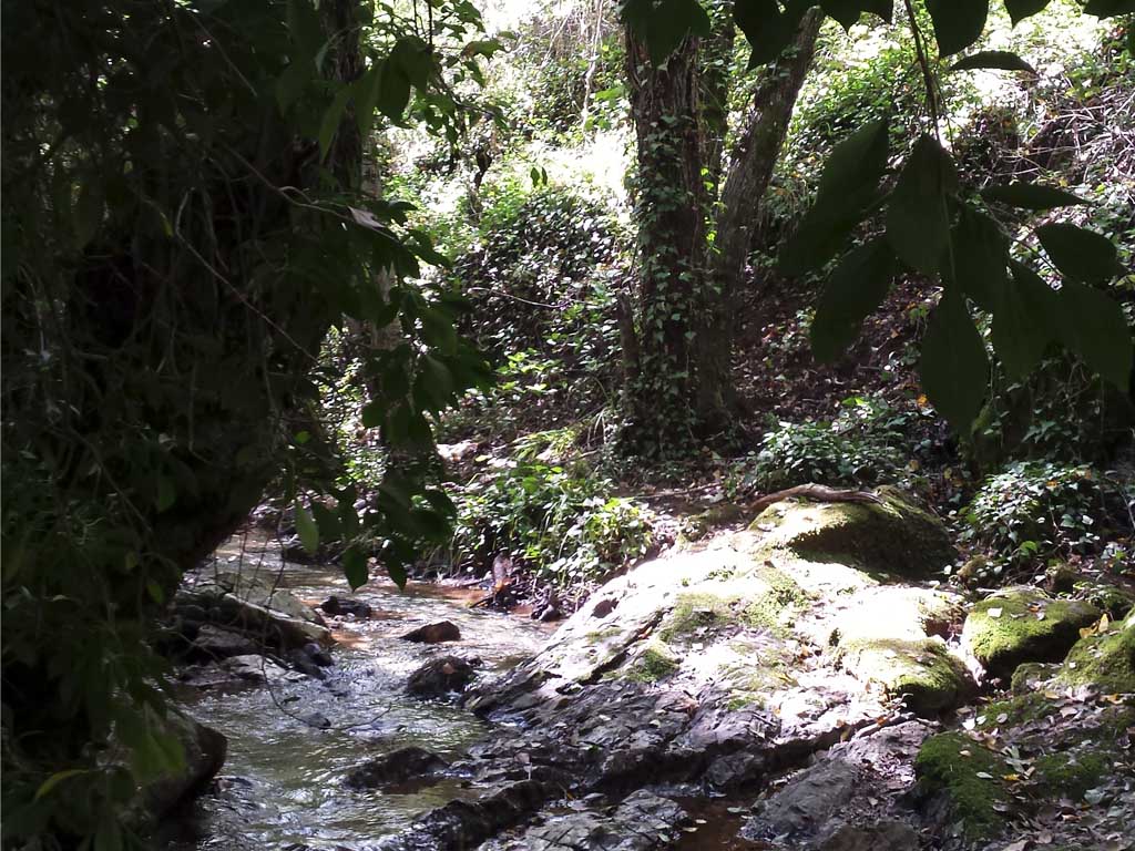 Tours en Aracena Andalusia Guided Tours 12