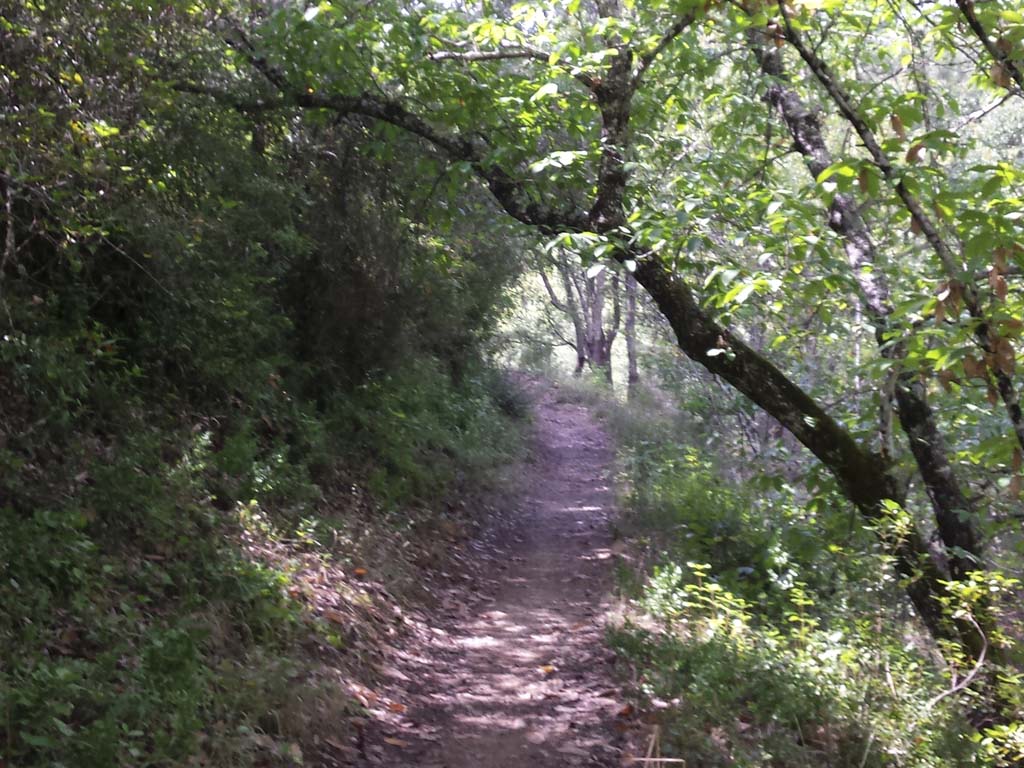 Tours en Aracena Andalusia Guided Tours 13