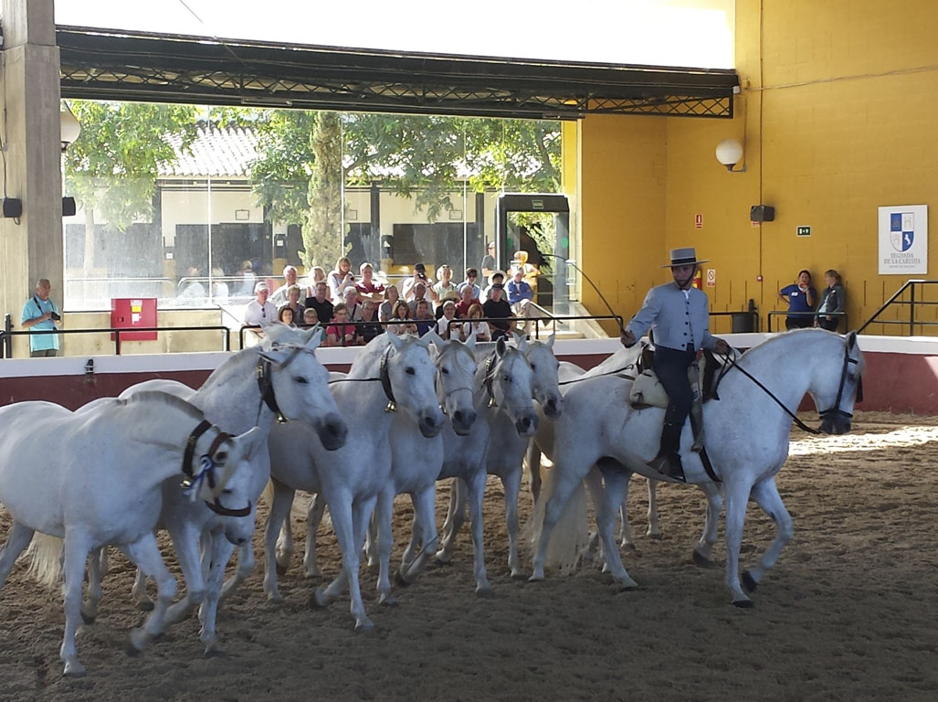 Tours en Cádiz y Jérez Andalusia Guided Tours 11