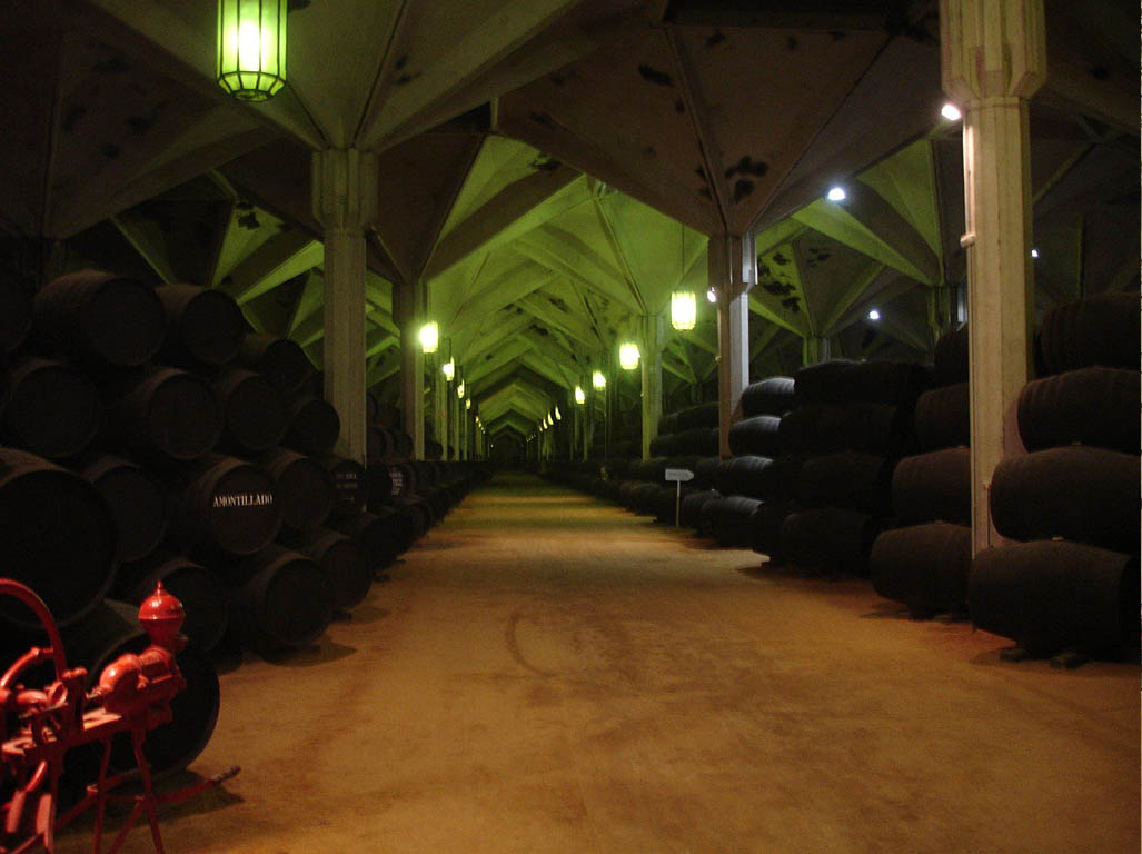 Tours en Cádiz y Jérez Andalusia Guided Tours 6