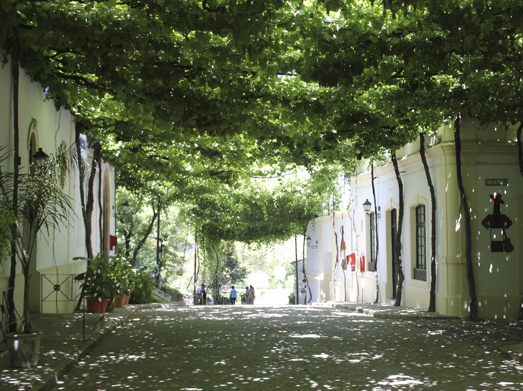 Tours en Cádiz y Jérez Andalusia Guided Tours 7