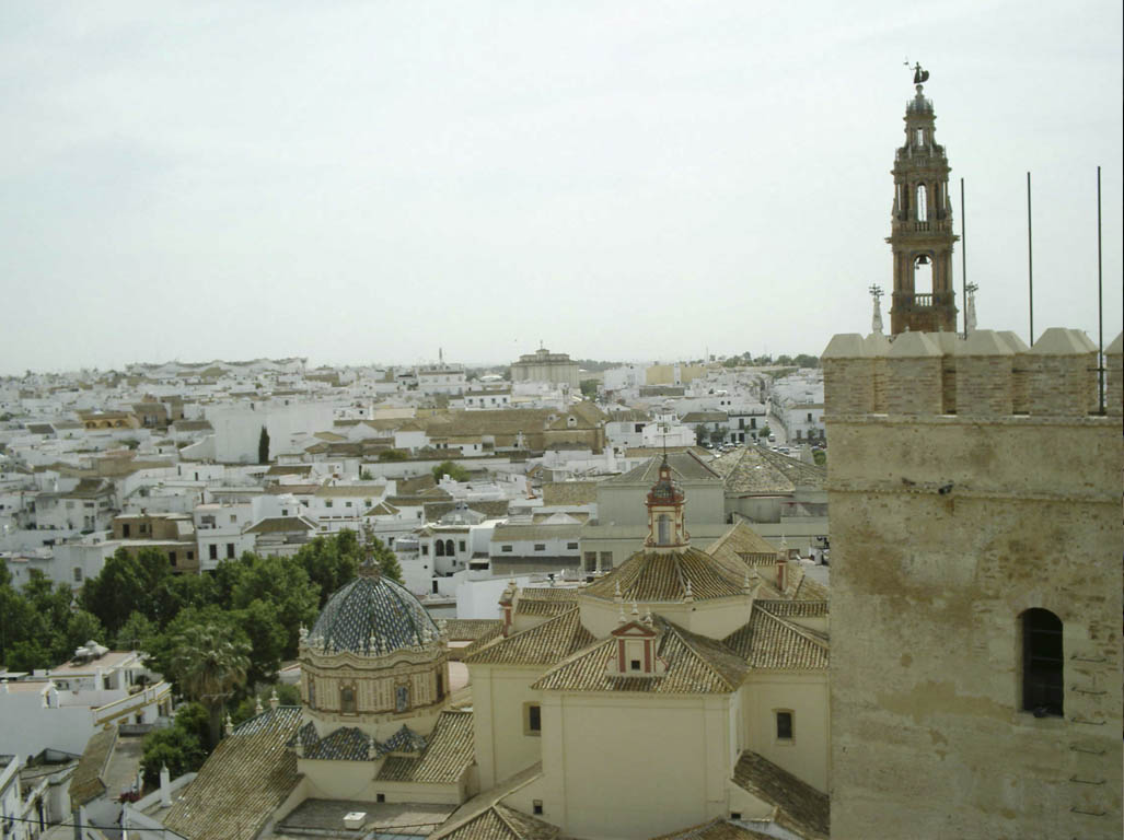 Tours en Carmona Andalusia Guided Tours 4