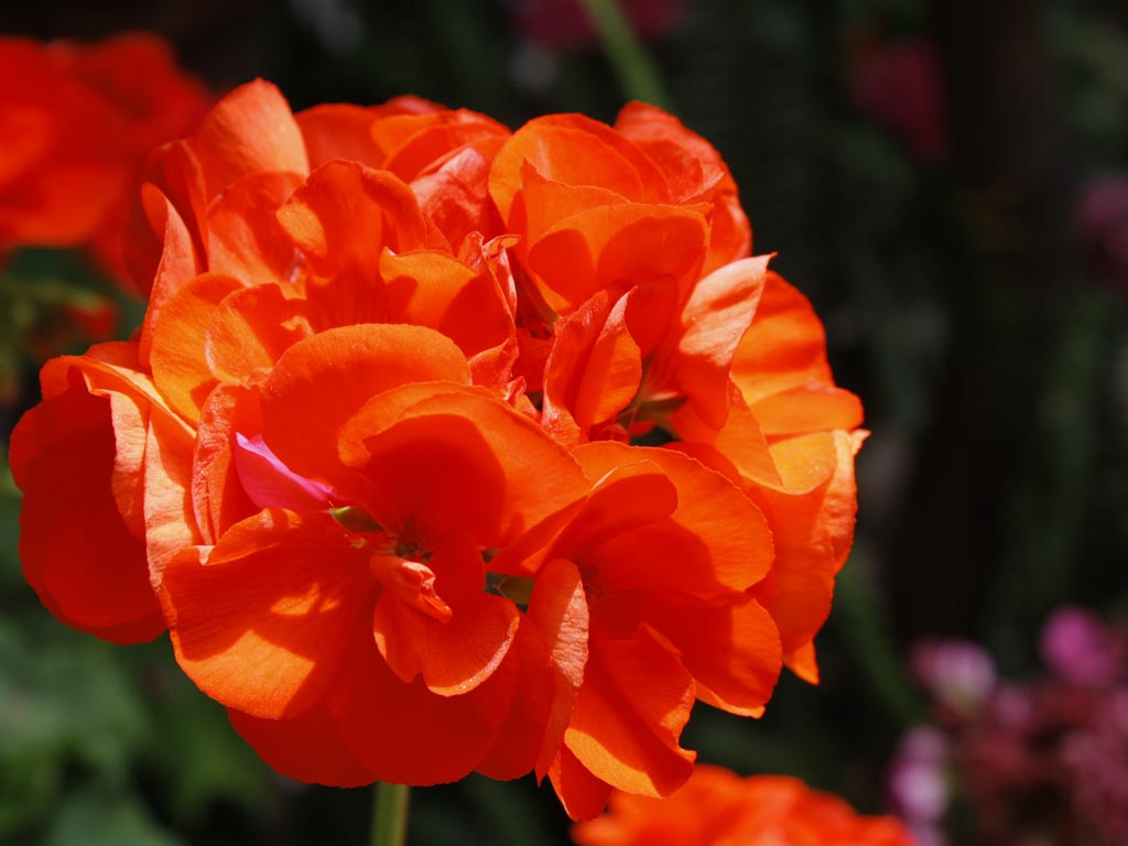 Tours en Cordoba Andalusia Guided Tours 12