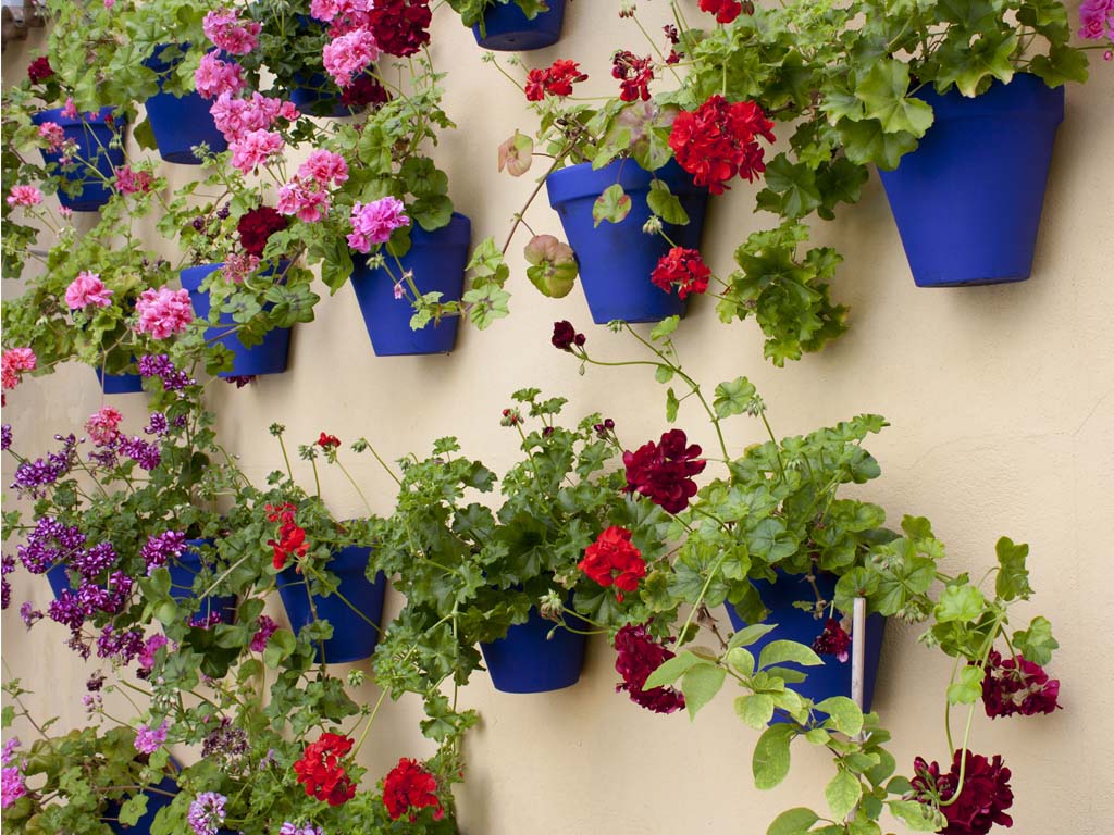 Tours en Cordoba Andalusia Guided Tours 13