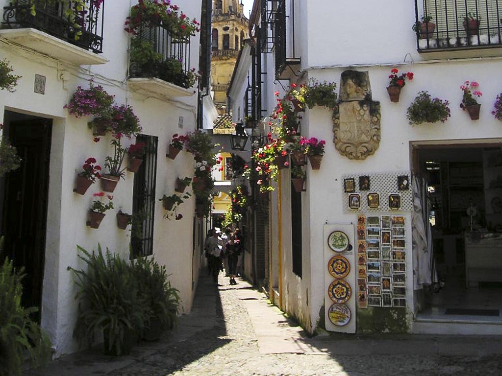 Tours en Cordoba Andalusia Guided Tours 14
