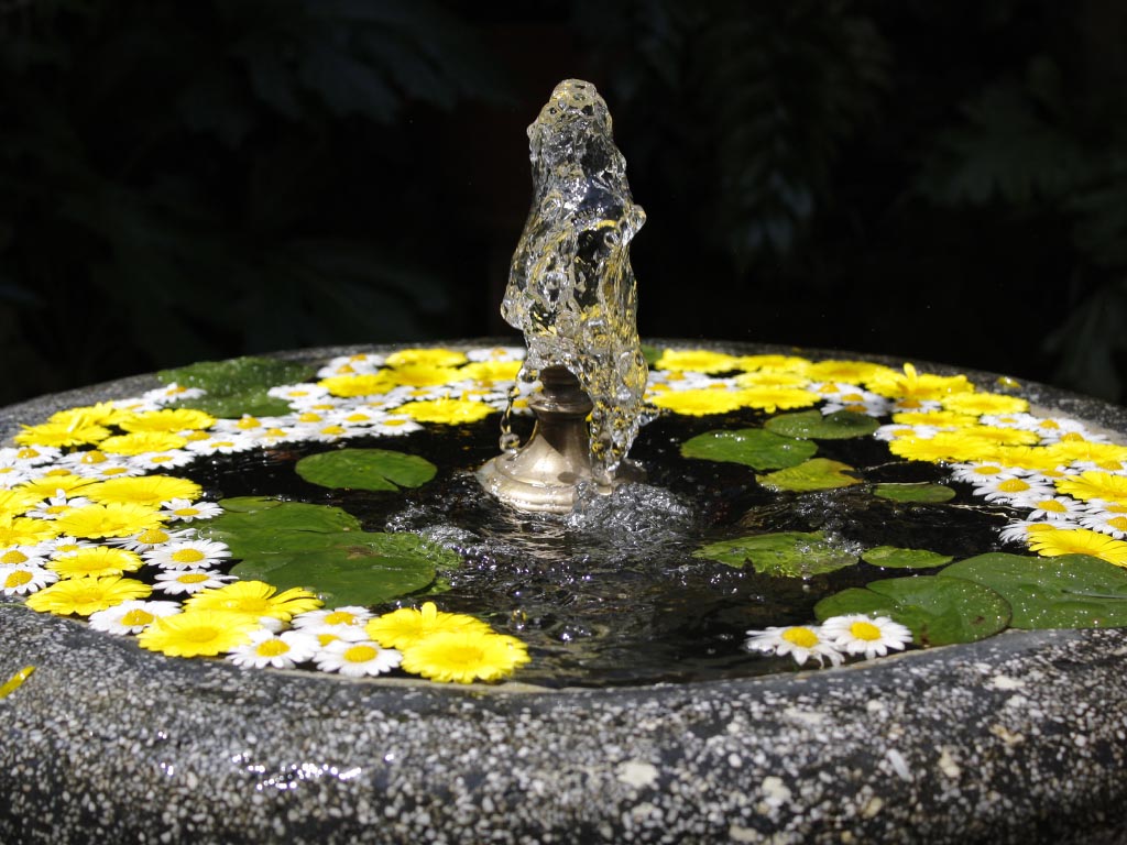 Tours en Cordoba Andalusia Guided Tours 6