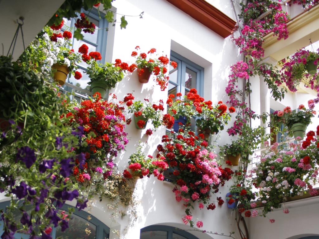 Tours en Cordoba Andalusia Guided Tours 8