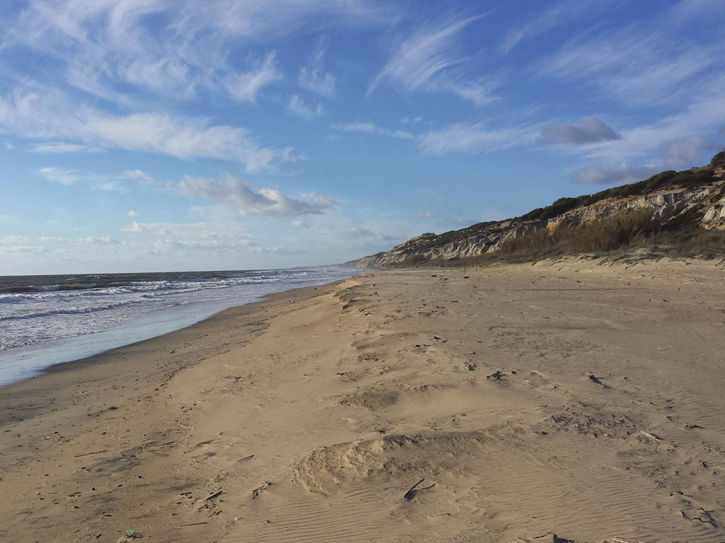 Tours en Doñana y la Aldea del Rocío Andalusia Guided Tours 14