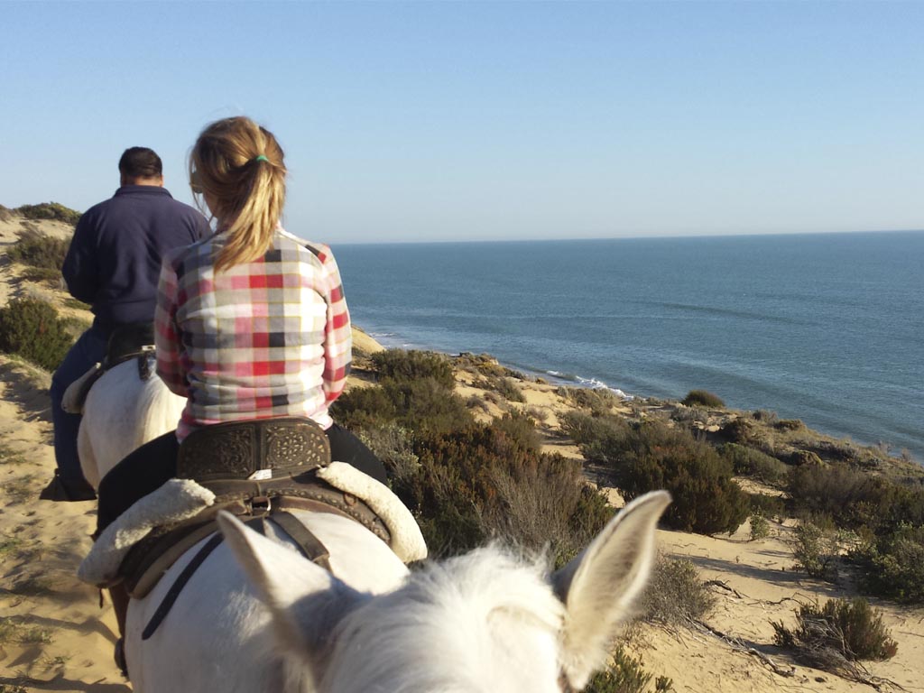 Tours en Doñana y la Aldea del Rocío Andalusia Guided Tours 17