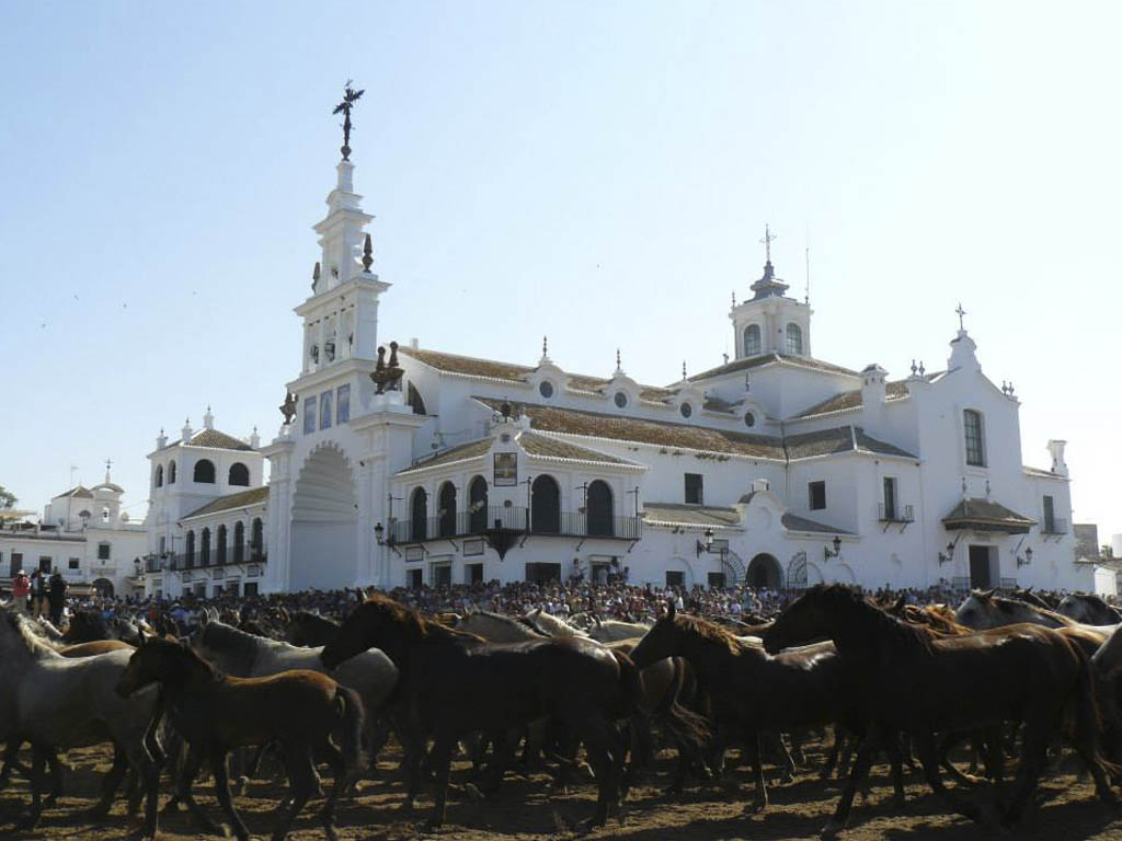 Tours en Doñana y la Aldea del Rocío Andalusia Guided Tours 23