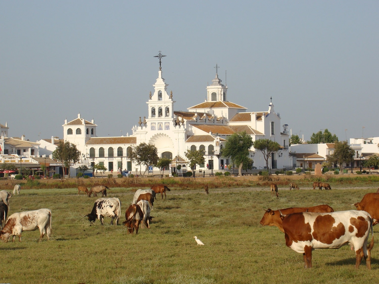 Tours en Doñana y la Aldea del Rocío Andalusia Guided Tours 5