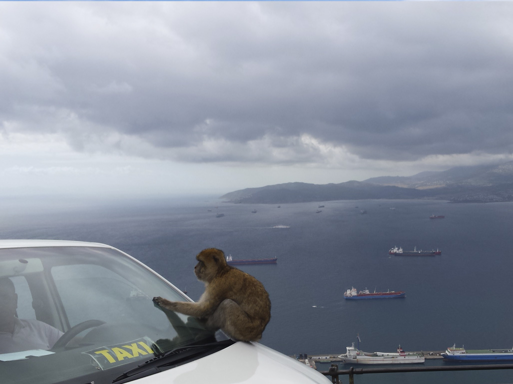 Tours en Gibraltar Andalusia Guided Tours 9