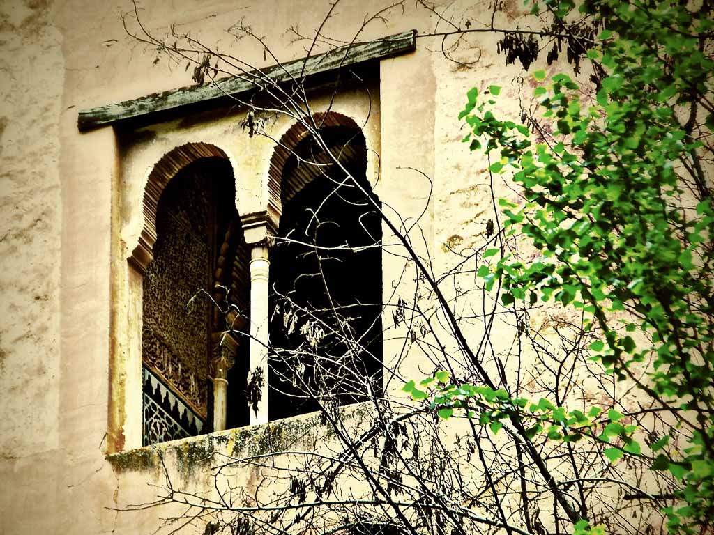 Tours en Granada Andalusia Guided Tours 11