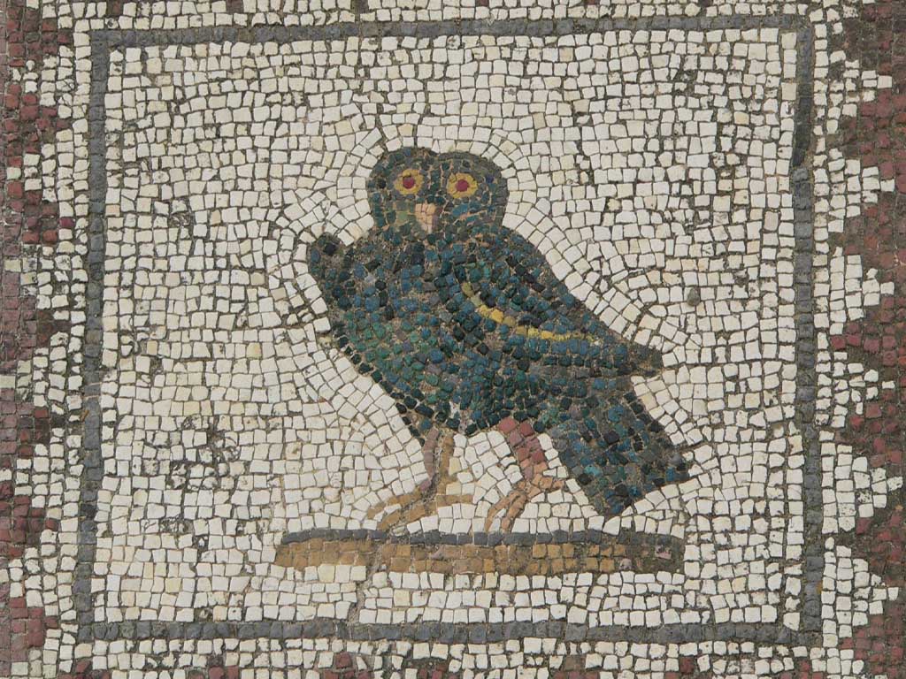 Tours en Itálica Andalusia Guided Tours 5