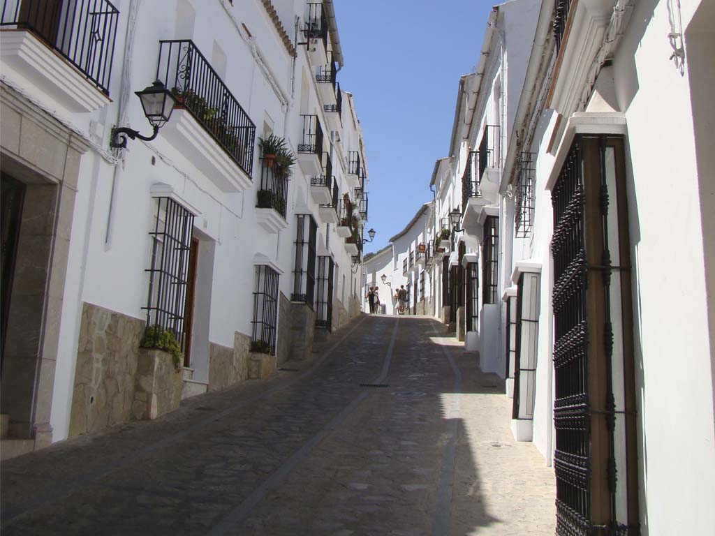 Tours en Ronda Pueblos Blancos Andalusia Guided Tours 14