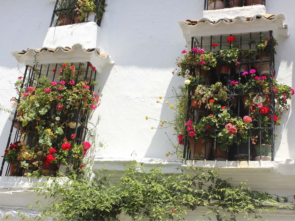 Tours en Ronda Pueblos Blancos Andalusia Guided Tours 2