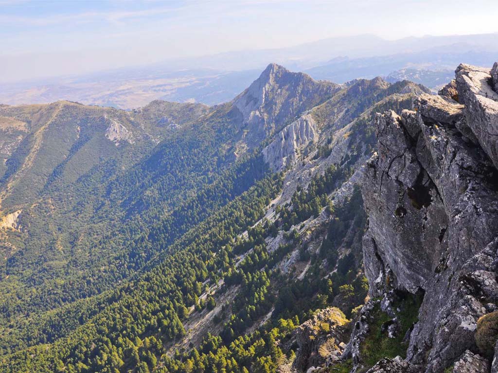 Tours en Ronda Pueblos Blancos Andalusia Guided Tours 4