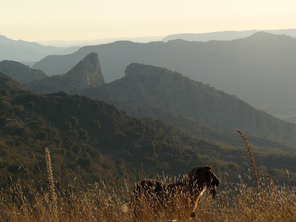 Tours en Ronda Pueblos Blancos Andalusia Guided Tours 6