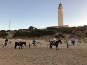 Paseo-a-caballo-por-faro-de-trafalgar-5