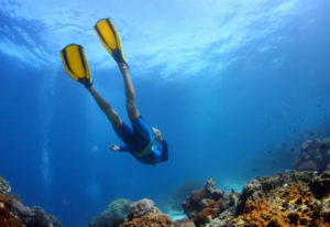 Foto Actividad Snorkel.1