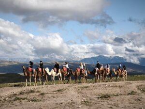 IMG_20260321_165554