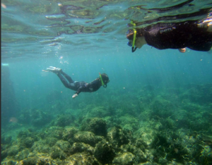 Foto-Actividad-Snorkel.png